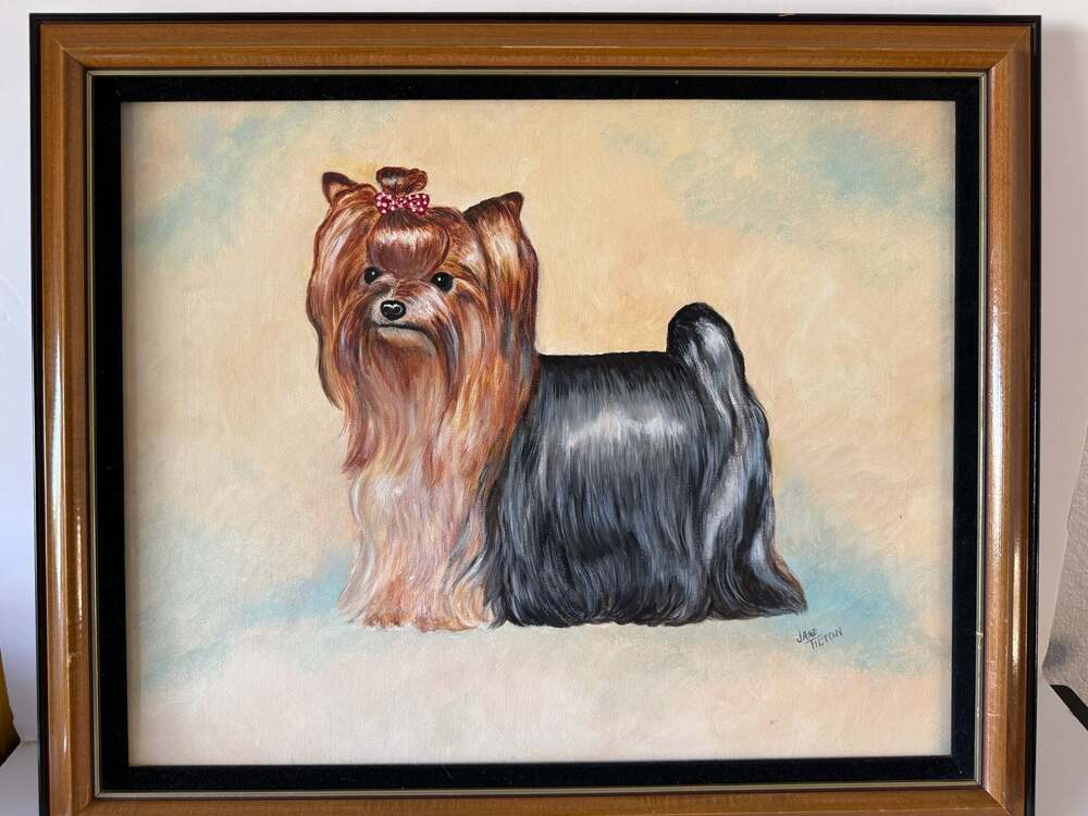 Original Framed Oil Painting of a Yorkshire Terrier by Jane Tilton